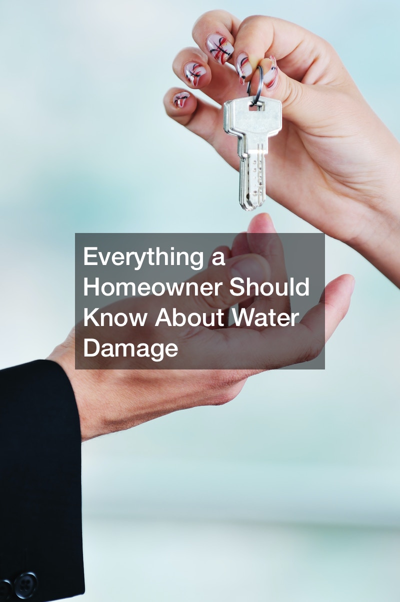 Everything a Homeowner Should Know About Water Damage