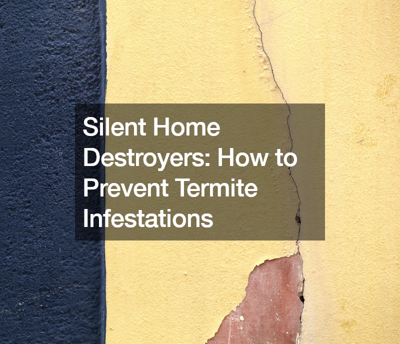 Silent Home Destroyers How to Prevent Termite Infestations