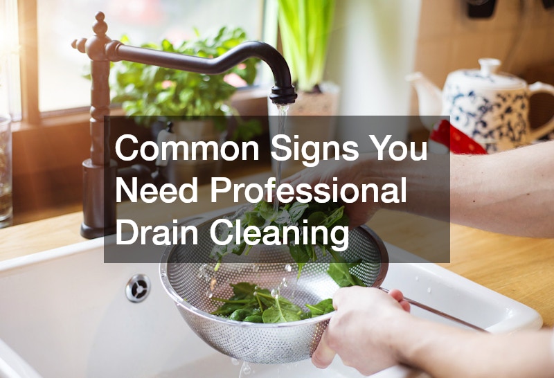 Common Signs You Need Professional Drain Cleaning