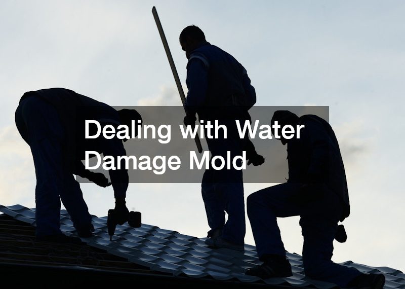 Dealing with Water Damage Mold